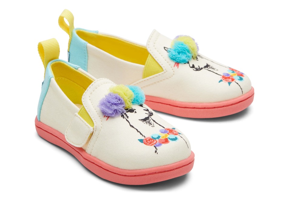 Toms μικροσκοπικό χαρτί αλπαργάτα πηγή ελεφαντόδοντο