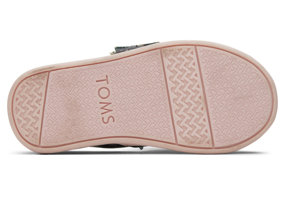 Τομς μικροσκοπικό αλπαργάτα κοάλα πράσινο δάσος