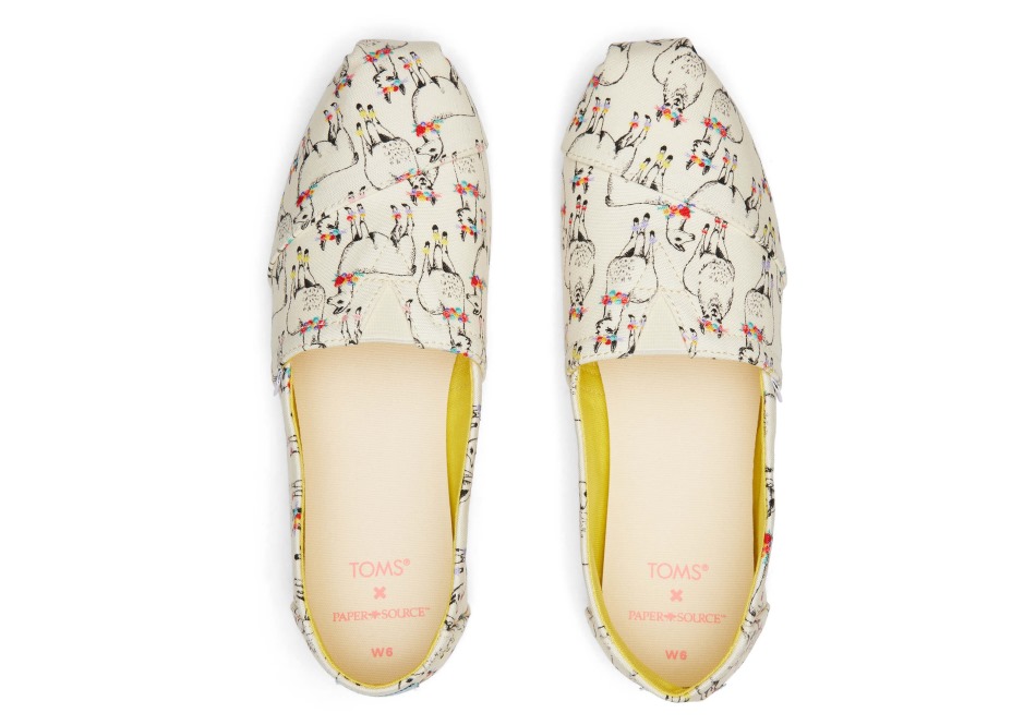 Toms Alpargata χαρτί πηγή ελεφαντόδοντο