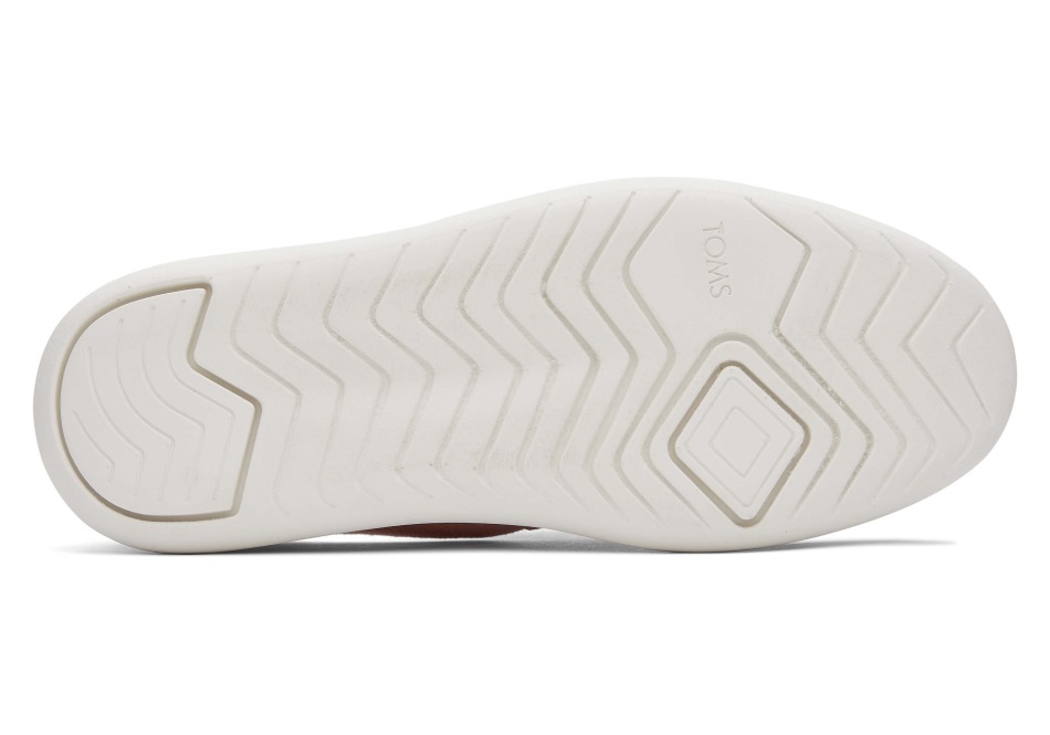 Toms Mallow καμβάς κληρονομιάς θολό ροζ