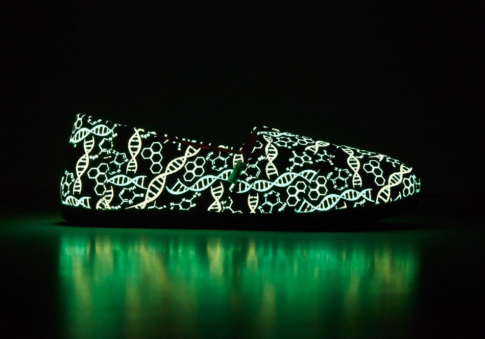 Toms Alpargata Dna μαύρο