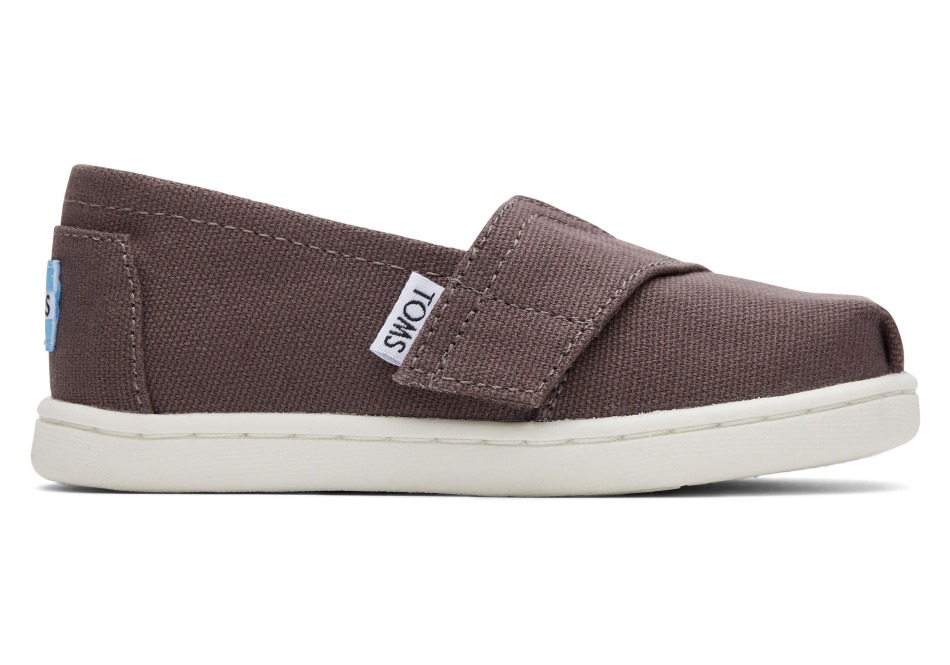 Toms Grey Alpargata στάχτη