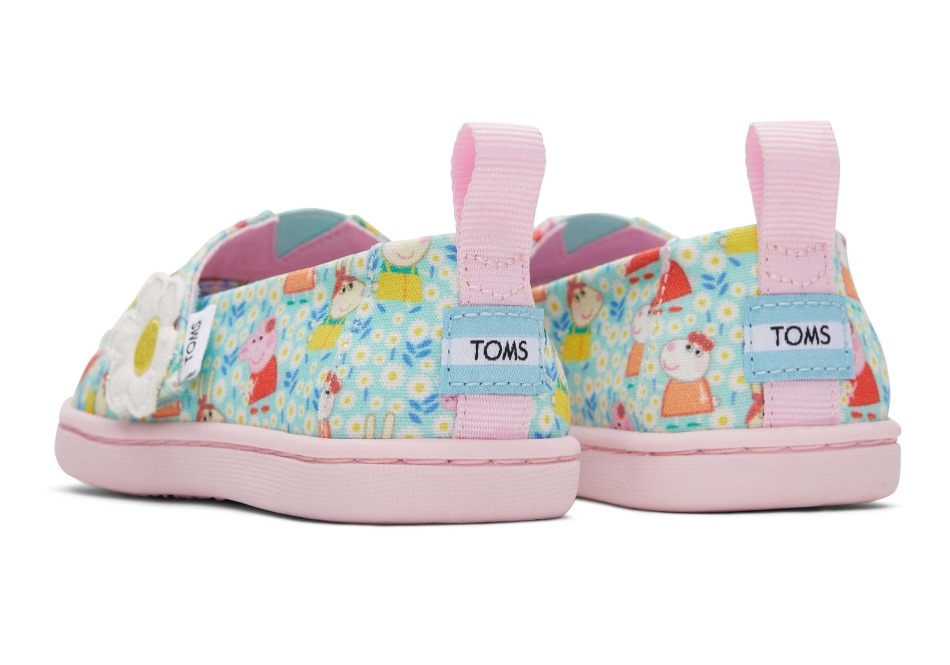 Toms Toms X Peppa Pig μικροσκοπικό Alpargata ανοιχτό νεφρίτη