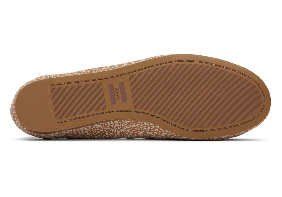 Τομς Ντάρσι Flat μίνι λεοπάρ