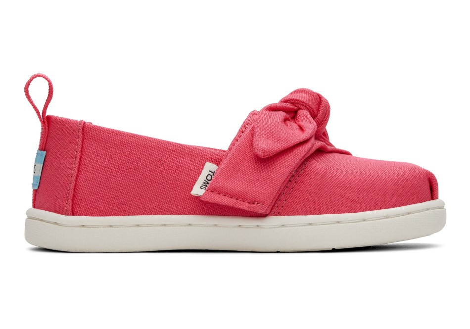 Τομς μικροσκοπικό αλπαργάτα φιόγκο βατόμουρο