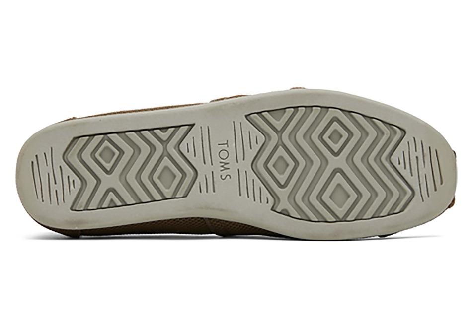 Toms Alpargata Repreve δεμένη σκούρα ελιά